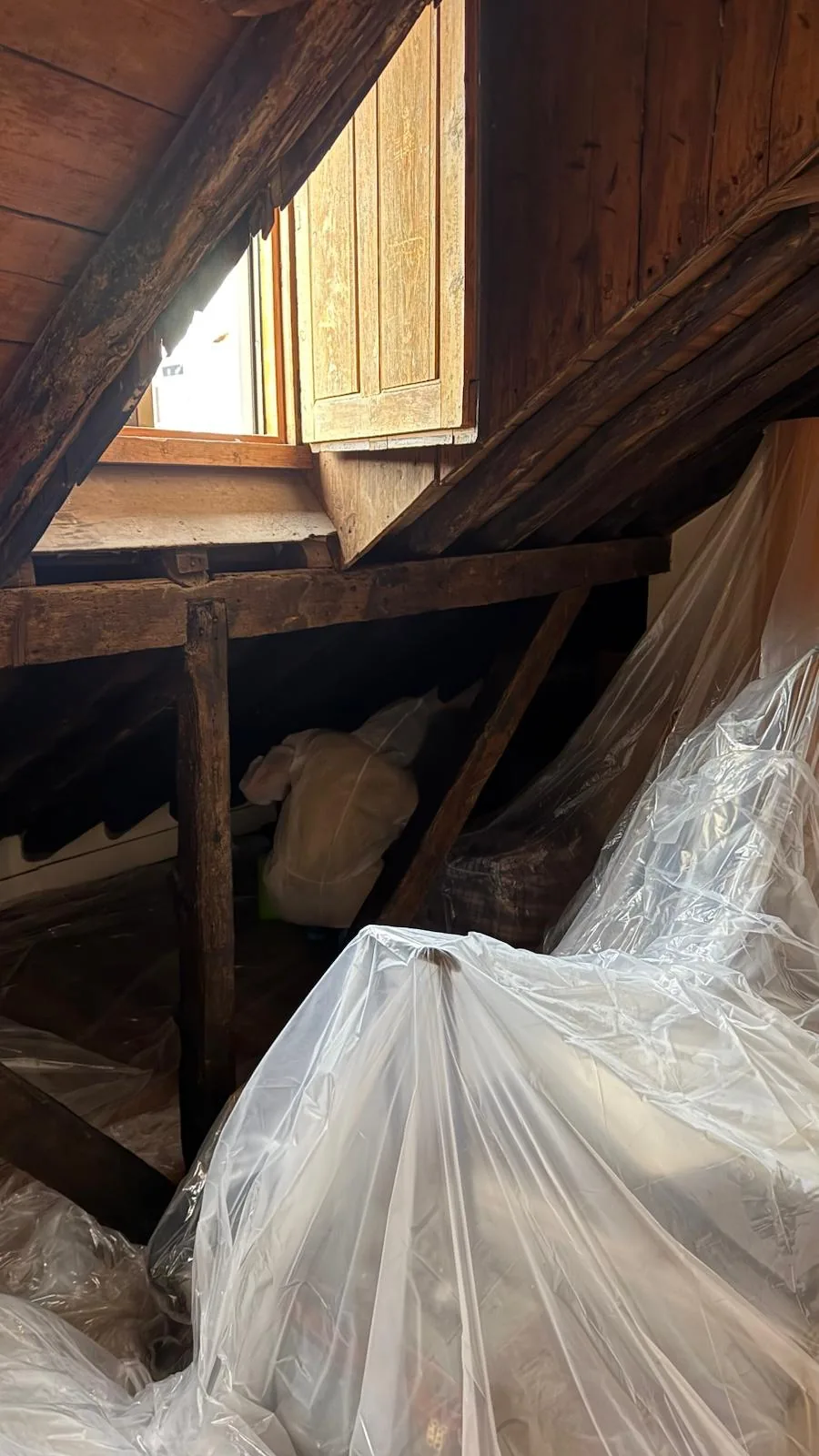 Interior de cobertura Gobeli 4